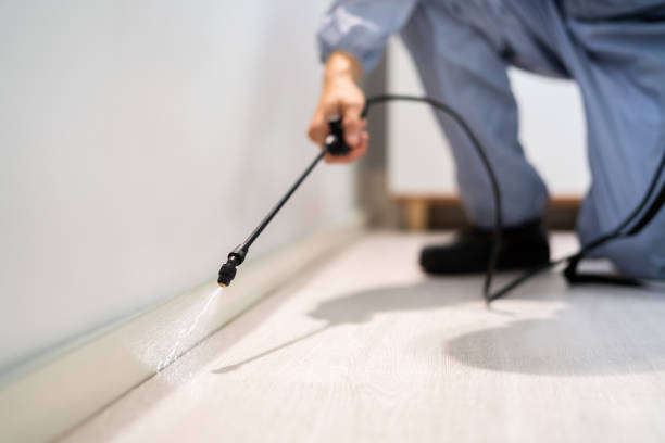 Licensed Cockroach Control service in Crystal Lake, IL - Nex Pest Control
