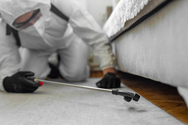 Professional Cockroach Control technician working in Crystal Lake, IL