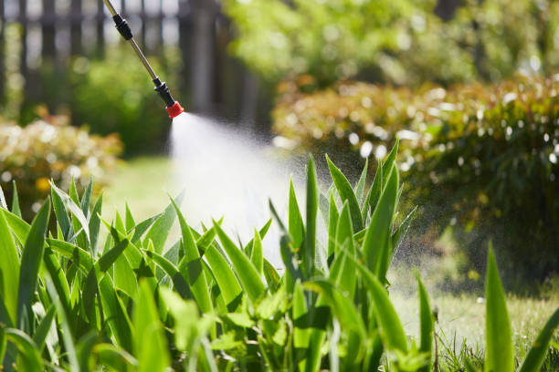 24/7 Emergency Cockroach Control experts in Crystal Lake, IL