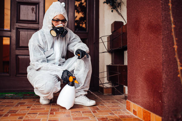 Reliable Cockroach Control contractor in Crystal Lake, IL by Nex Pest Control